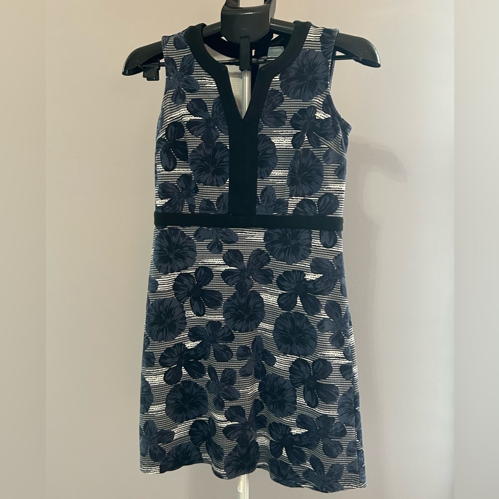 Ann Taylor Petite Black and Cream Dress